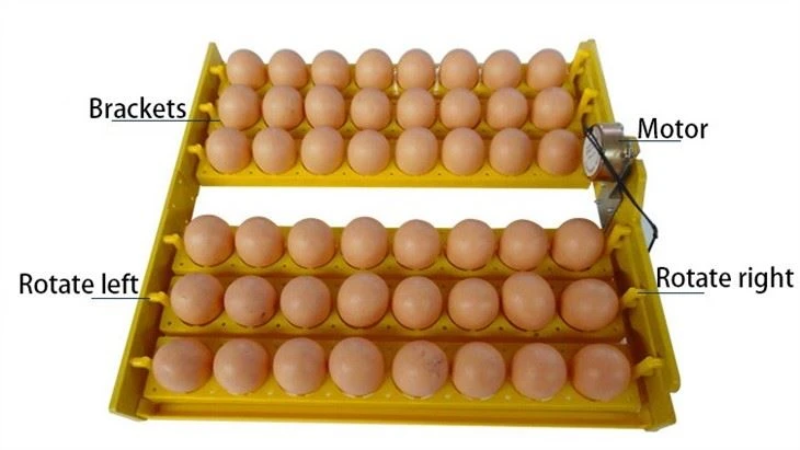 Chicken Incubator